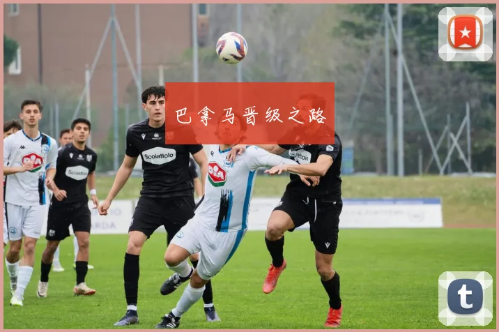 开云Kaiyun官网在线登录入口 - 巴拿马晋级之路
