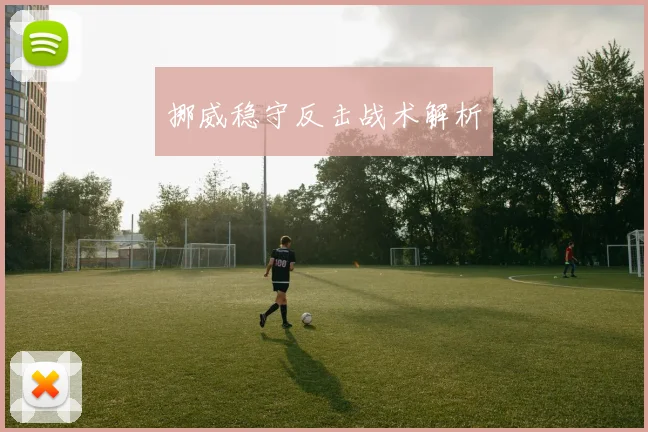 开云Kaiyun官网在线登录入口 - 挪威稳守反击战术解析