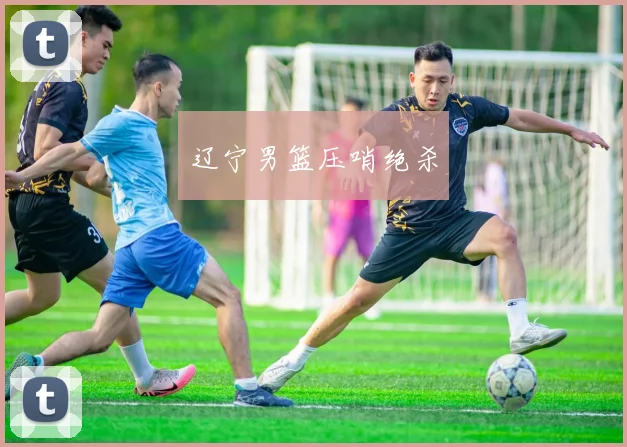 开云Kaiyun官网在线登录入口 - 辽宁男篮压哨绝杀