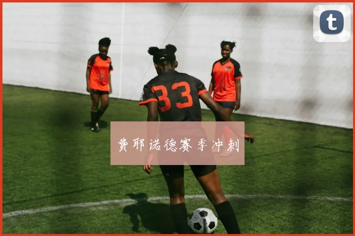 开云Kaiyun官网在线登录入口 - 费耶诺德赛季冲刺