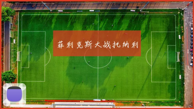 开云Kaiyun官网在线登录入口 - 菲利克斯大战托纳利