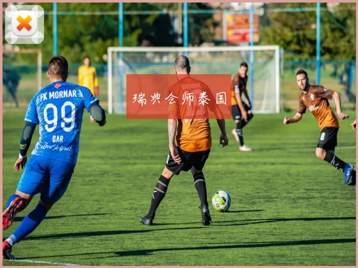 开云Kaiyun官网在线登录入口 - 瑞典会师泰国