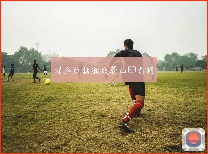 开云Kaiyun官网在线登录入口 - 浦和红钻激战蔚山HD前瞻