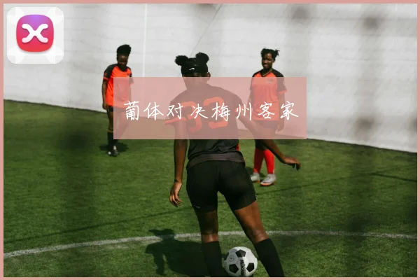 开云Kaiyun官网在线登录入口 - 葡体对决梅州客家