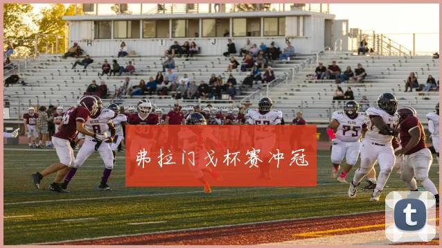 开云Kaiyun官网在线登录入口 - 弗拉门戈杯赛冲冠