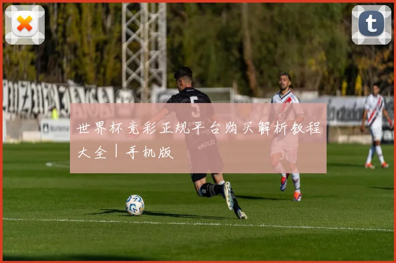 开云Kaiyun官网在线登录入口 - 世界杯竞彩正规平台购买解析教程大全｜手机版