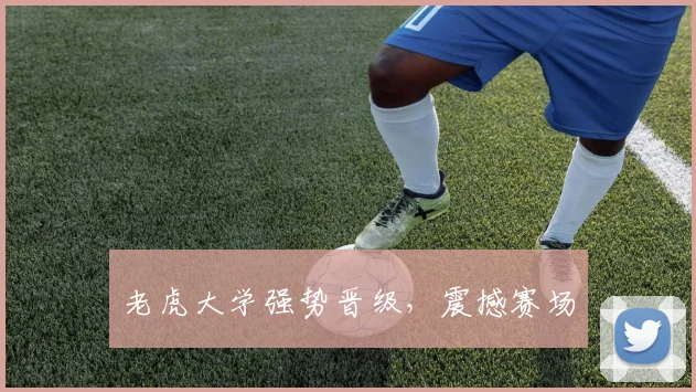 开云Kaiyun官网在线登录入口 - 老虎大学强势晋级，震撼赛场