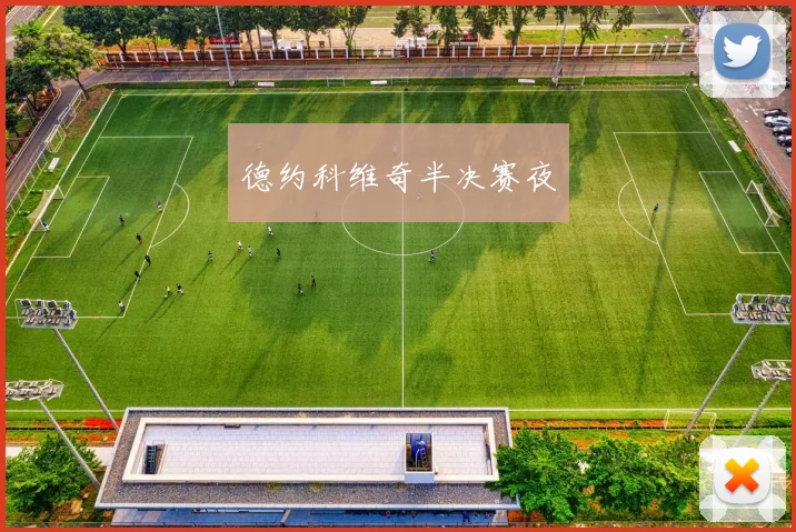 开云Kaiyun官网在线登录入口 - 德约科维奇半决赛夜