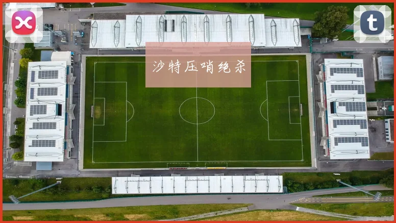 开云Kaiyun官网在线登录入口 - 沙特压哨绝杀