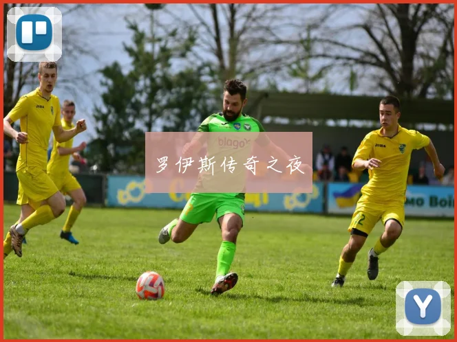 开云Kaiyun官网在线登录入口 - 罗伊斯传奇之夜