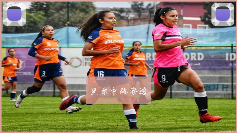 开云Kaiyun官网在线登录入口 - 里尔中路渗透