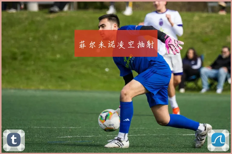 开云Kaiyun官网在线登录入口 - 菲尔米诺凌空抽射