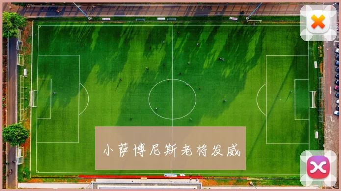 开云Kaiyun官网在线登录入口 - 小萨博尼斯老将发威