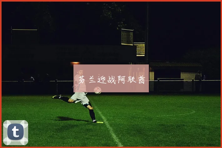 开云Kaiyun官网在线登录入口 - 芬兰迎战阿联酋