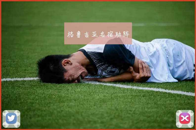开云Kaiyun官网在线登录入口 - 格鲁吉亚名宿助阵