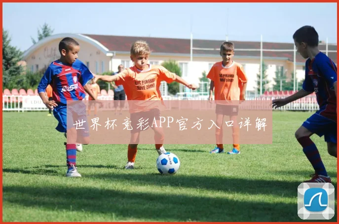 开云Kaiyun官网在线登录入口 - 世界杯竞彩APP官方入口详解