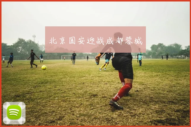 开云Kaiyun官网在线登录入口 - 北京国安迎战成都蓉城