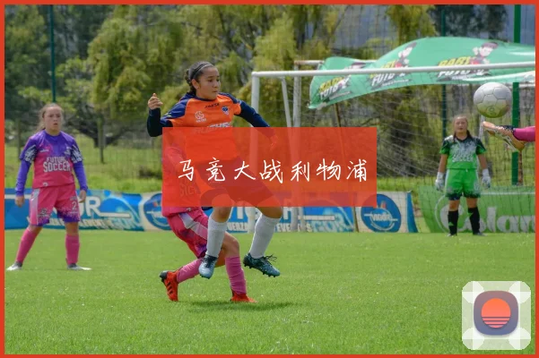 开云Kaiyun官网在线登录入口 - 马竞大战利物浦