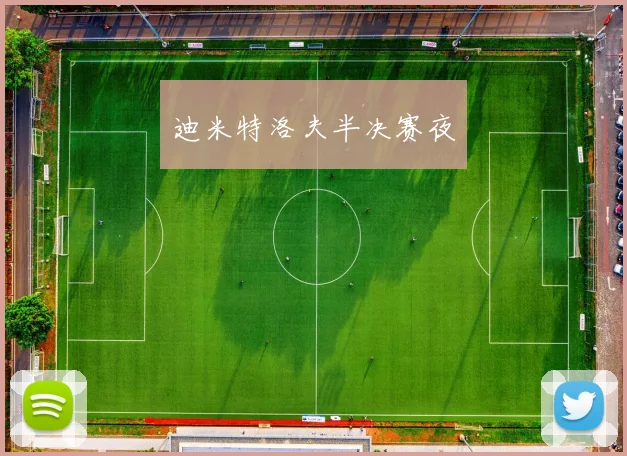 开云Kaiyun官网在线登录入口 - 迪米特洛夫半决赛夜