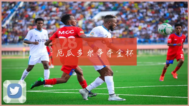 开云Kaiyun官网在线登录入口 - 厄瓜多尔争夺金杯