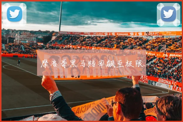开云Kaiyun官网在线登录入口 - 摩洛哥黑马赔率飙至极限