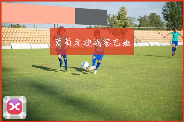 开云Kaiyun官网在线登录入口 - 葡萄牙迎战黎巴嫩