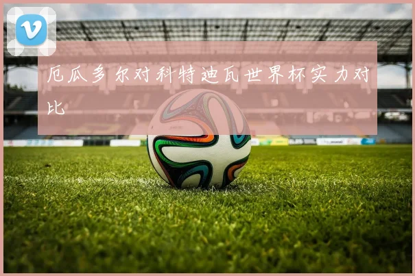 厄瓜多尔对科特迪瓦世界杯实力对比