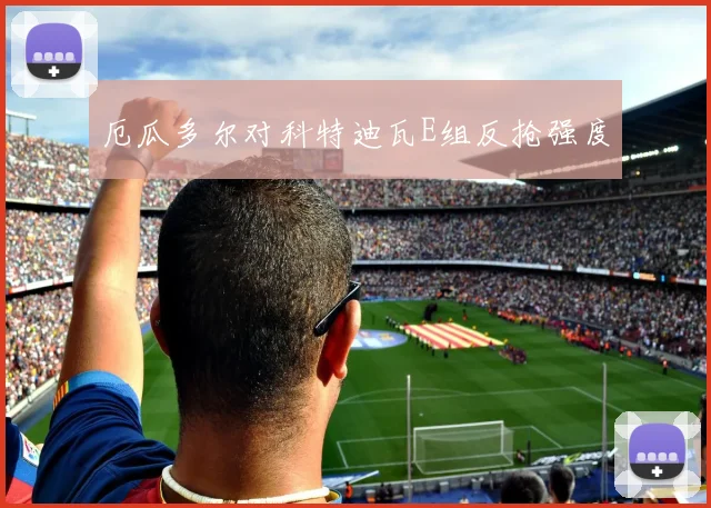 厄瓜多尔对科特迪瓦E组反抢强度
