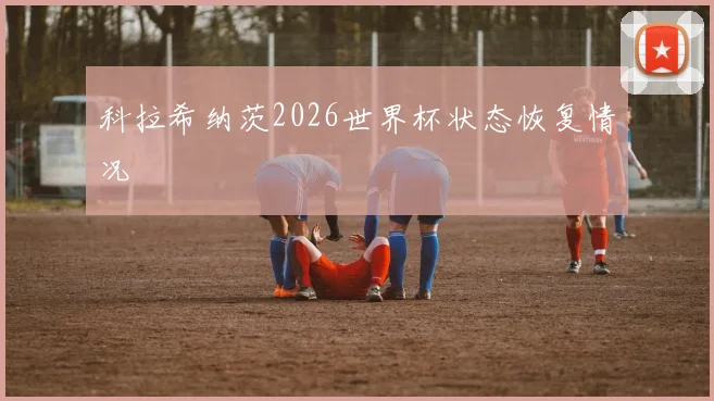 科拉希纳茨2026世界杯状态恢复情况