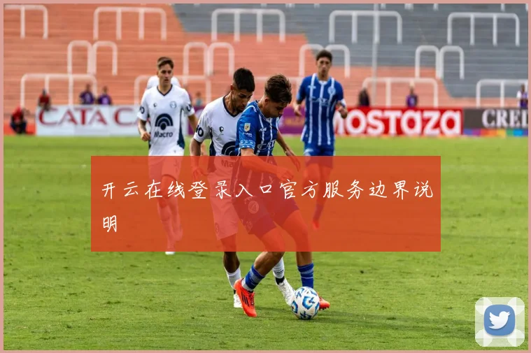开云在线登录入口官方服务边界说明