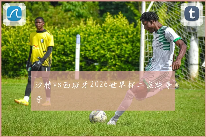 沙特vs西班牙2026世界杯二点球争夺