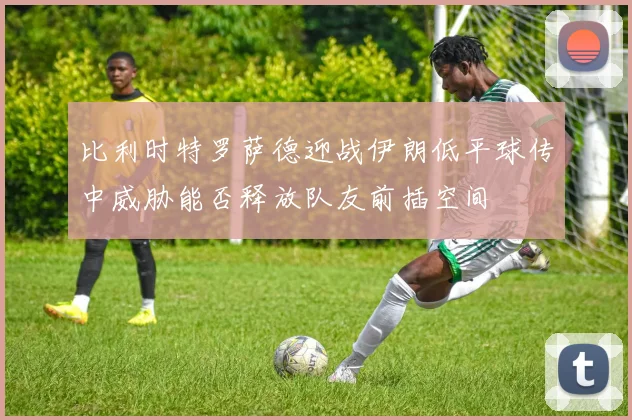 比利时特罗萨德迎战伊朗低平球传中威胁能否释放队友前插空间