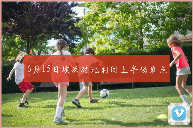 6月15日埃及对比利时上半场看点