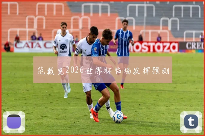范戴克2026世界杯临场发挥预测
